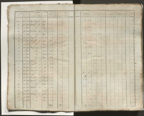 Tableau indicatif des propriétaires, des propriétés foncières et de leurs contenances. Tableau indicatif des propriétaires et des propriétés bâties.