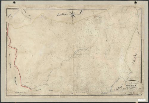 Section C1 de la Teyssonnière