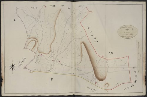 Section C1 de Laschamps