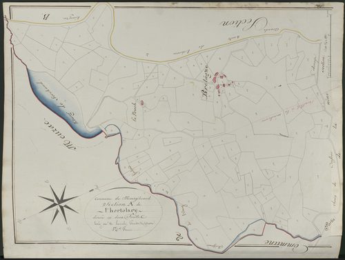 Section A1 de Lortholary