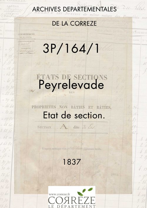 Etat de section
