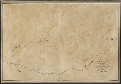 Section C3 de Vizis