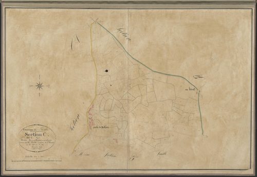 Section C4 de Vizis