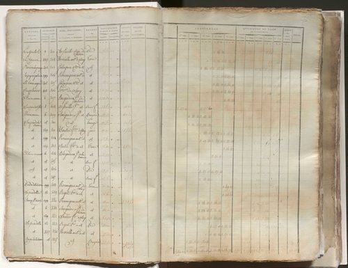 État de section