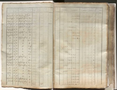 État de section