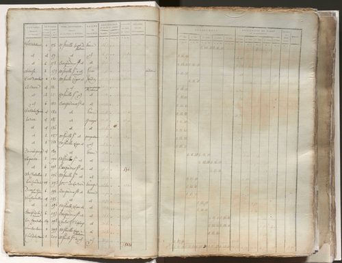 État de section