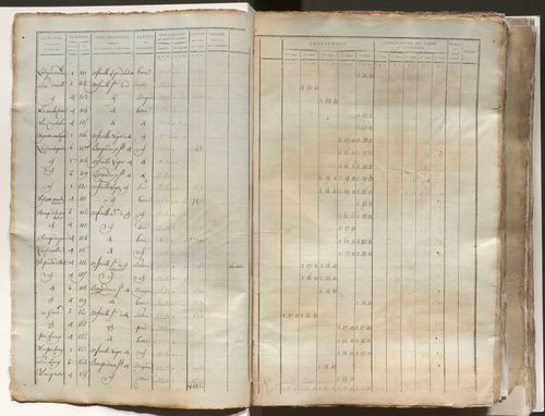 État de section