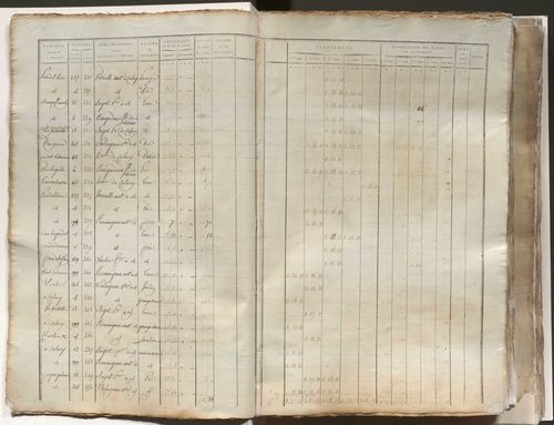 État de section