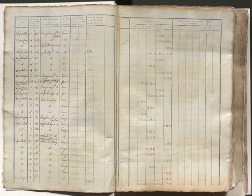 État de section