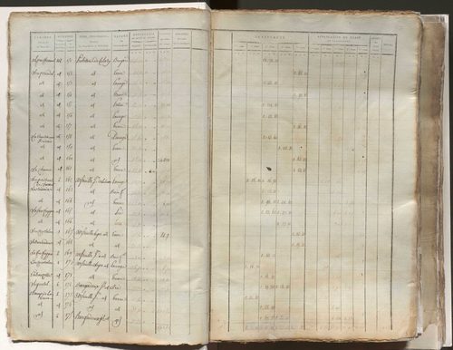 État de section
