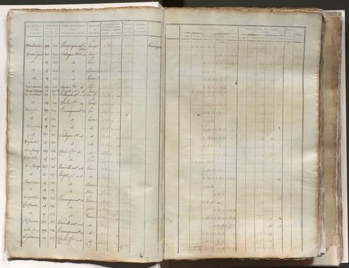 État de section