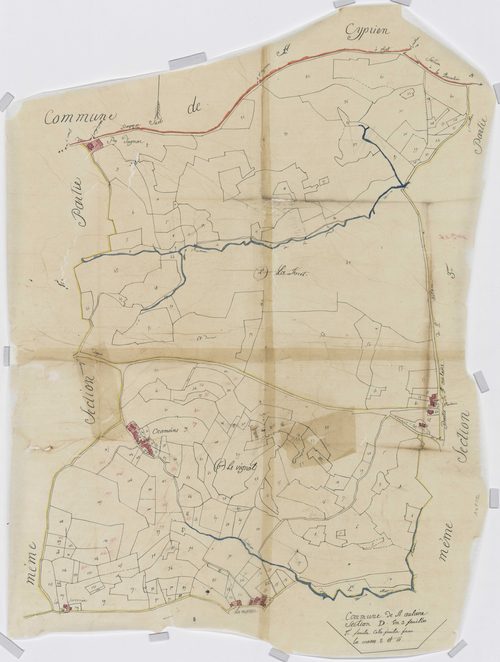 Section D2 de la Forêt et du Vignal