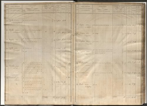 Etat de section et liste alphabétique de propriétaires