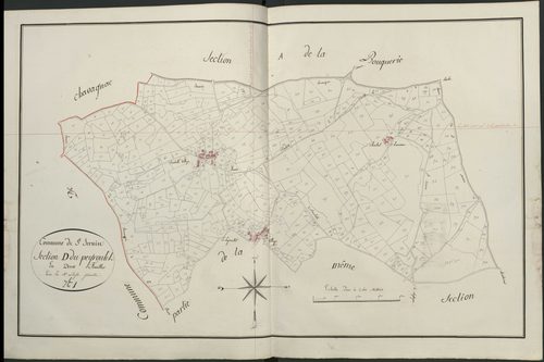 Section D1 du Peyroulet