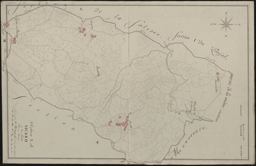 Section L1 de Sicard