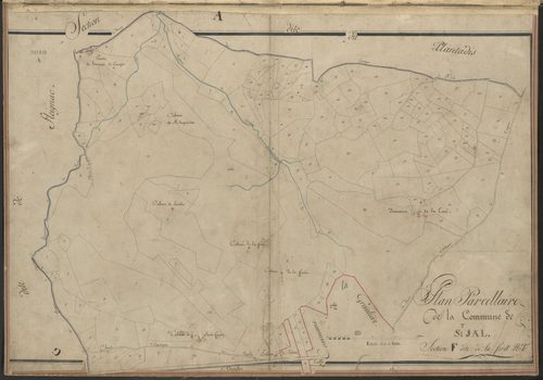 Section F1 de la Forêt