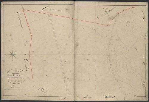 Section A2 de Brach