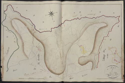 Section C3 du Pin