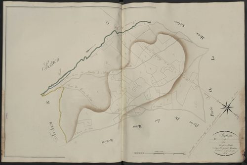 Section C4 du Pin