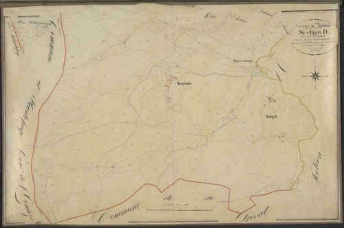 Section D3 du Coudert