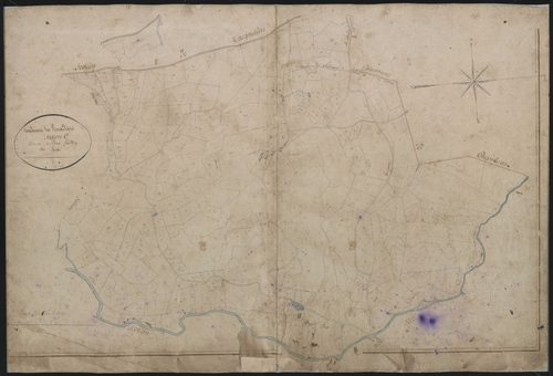 Section C1