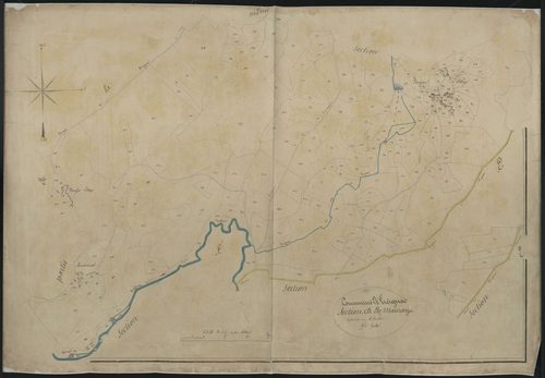 Section D5 du Maurange