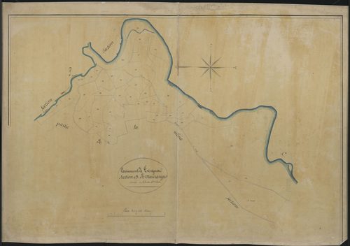 Section D6 du Maurange