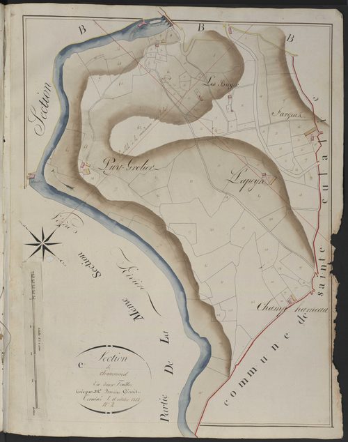 Section C2 de Chammard