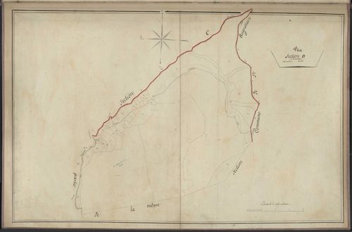 Section D2 de Triviaux
