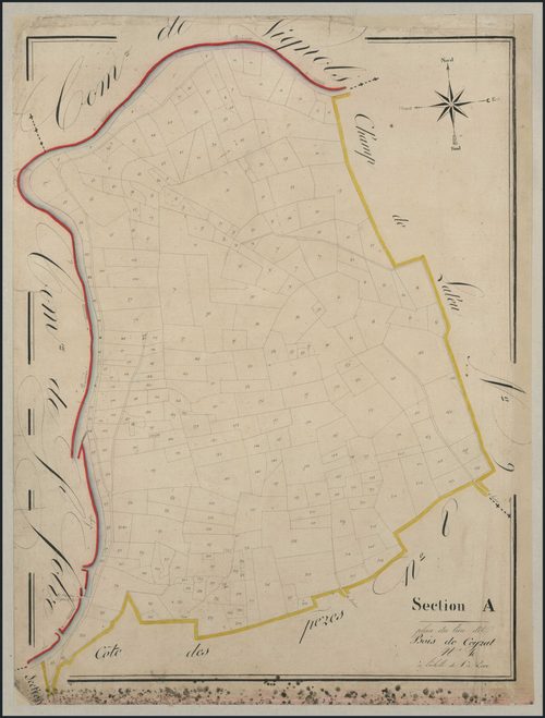 Section A10 du Bois de Ceyrat