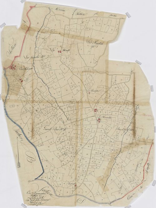 Section C3 de Bos d'Alort, des Grands Bos , des Picadis ,des Pradels
