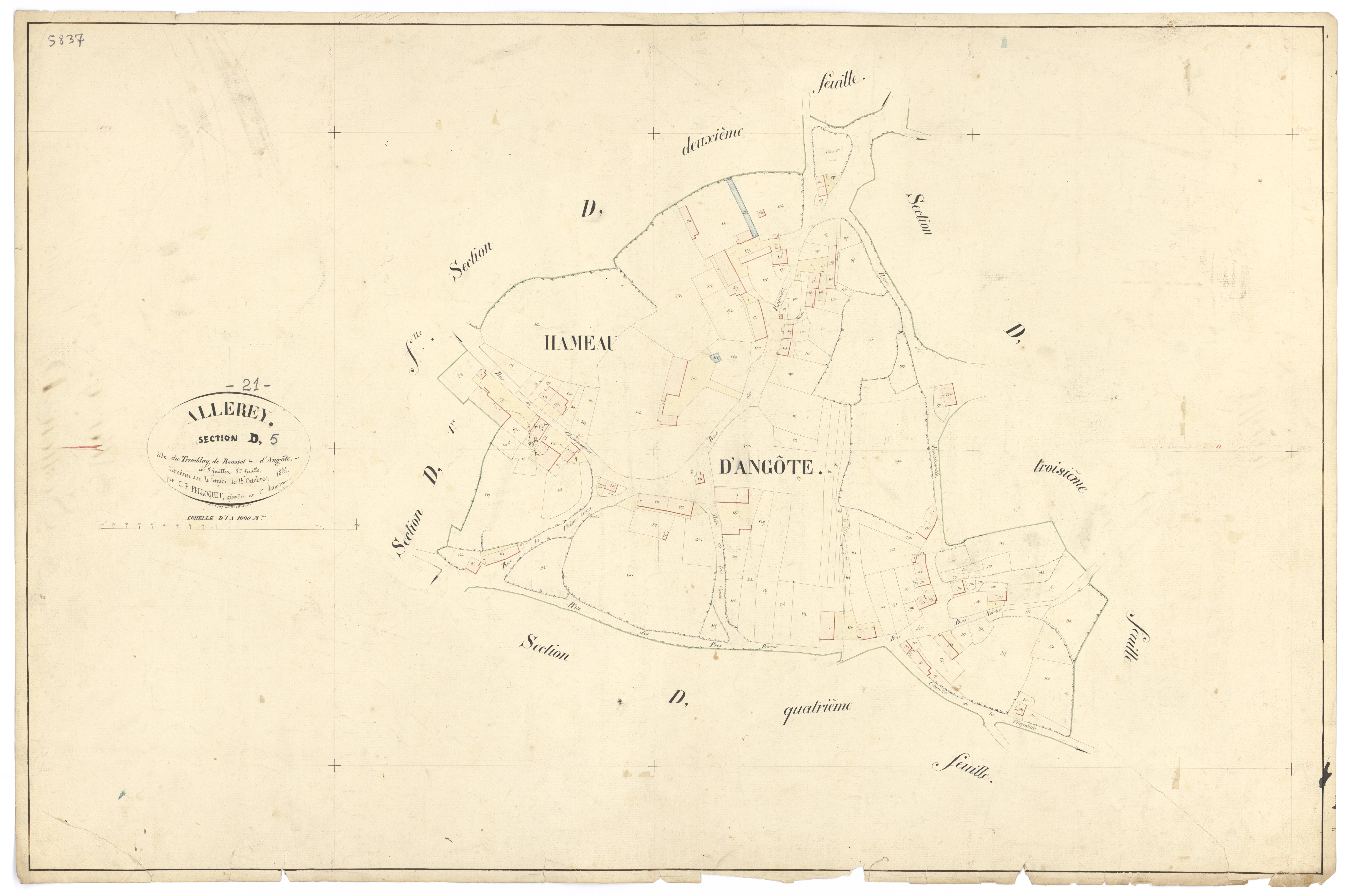 Allerey - Section D5 - 3 P PLAN 12/19