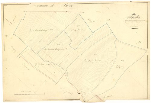 Arceau - Section B3 - 3 P PLAN 19/12