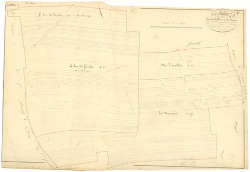Arceau - Section C7 - 3 P PLAN 19/21