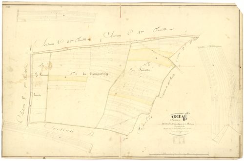 Arceau - Section D1 - 3 P PLAN 19/23
