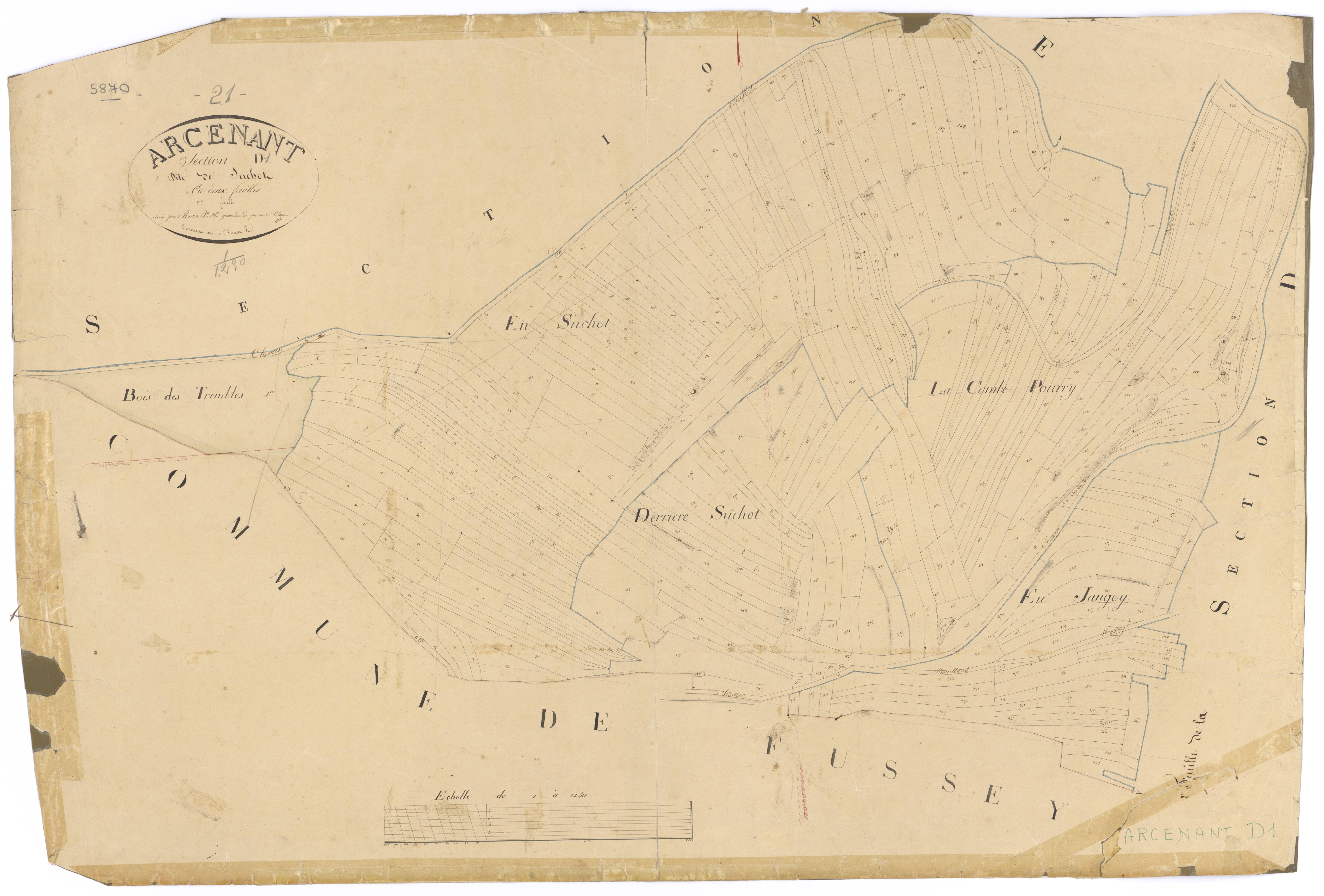 Arcenant - Section D1 - 3 P PLAN 20/8