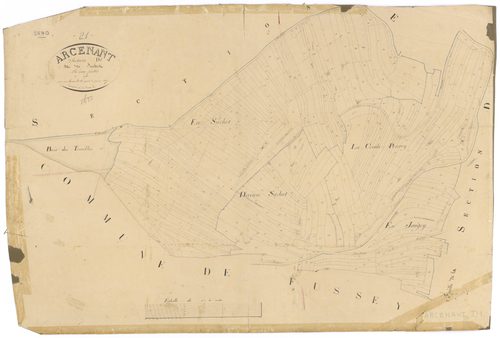 Arcenant - Section D1 - 3 P PLAN 20/8