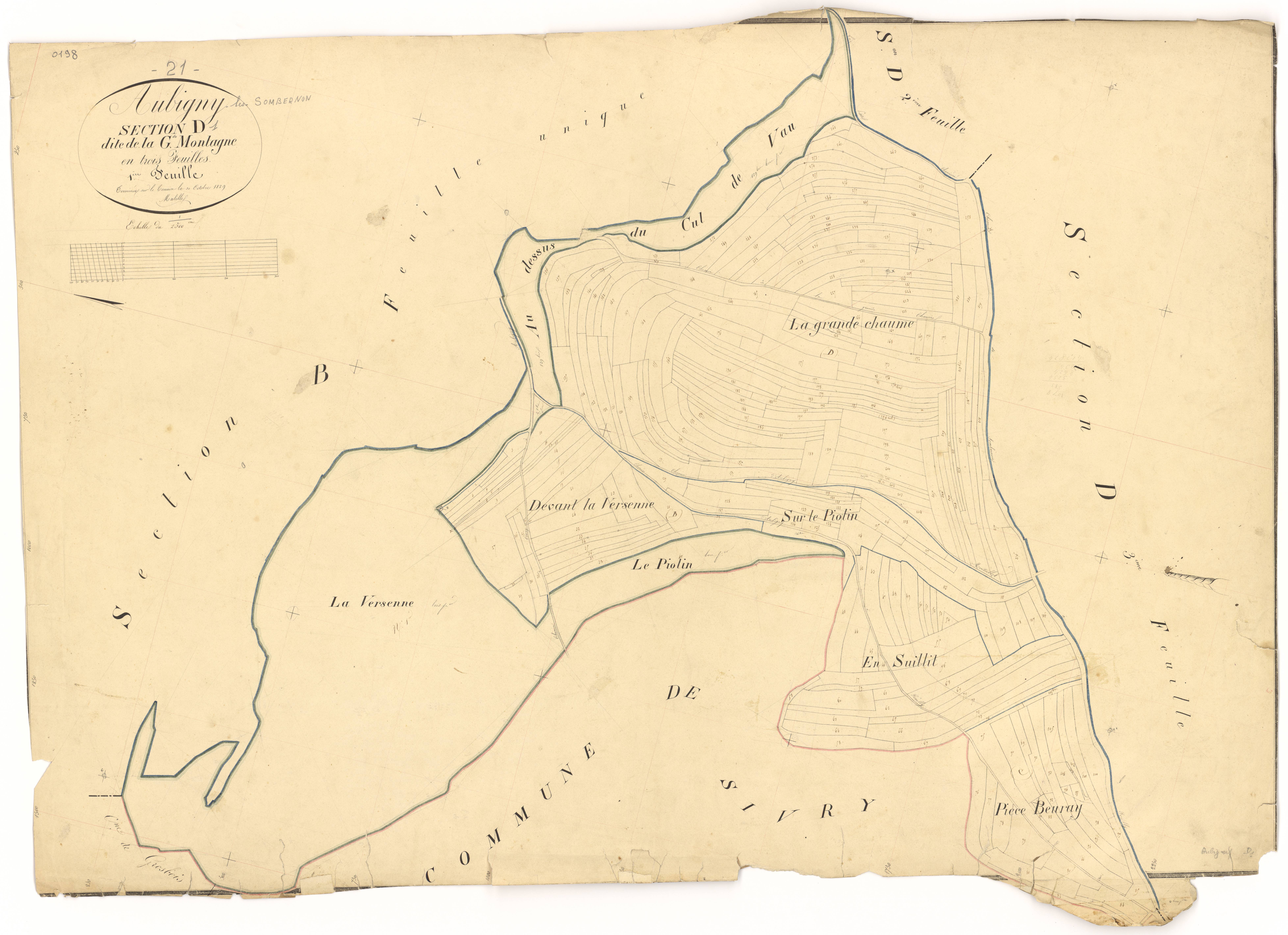 Aubigny-lès-Sombernon - Section D1 - 3 P PLAN 36/6