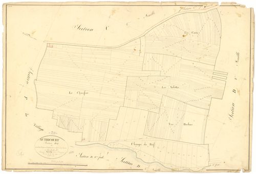 Autricourt - Section D1 - 3 P PLAN 37/17