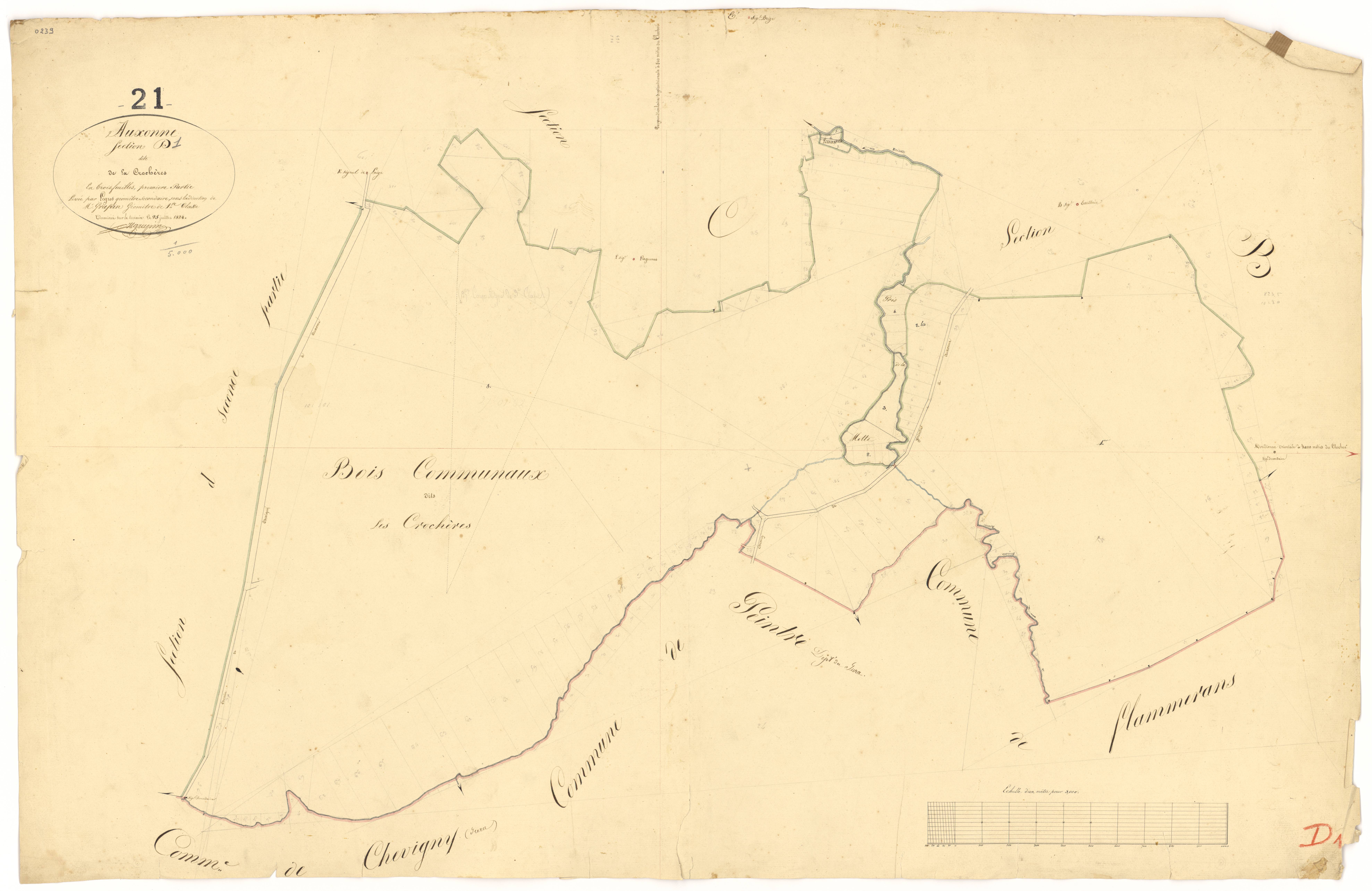 Auxonne - Section D1 - 3 P PLAN 41/10