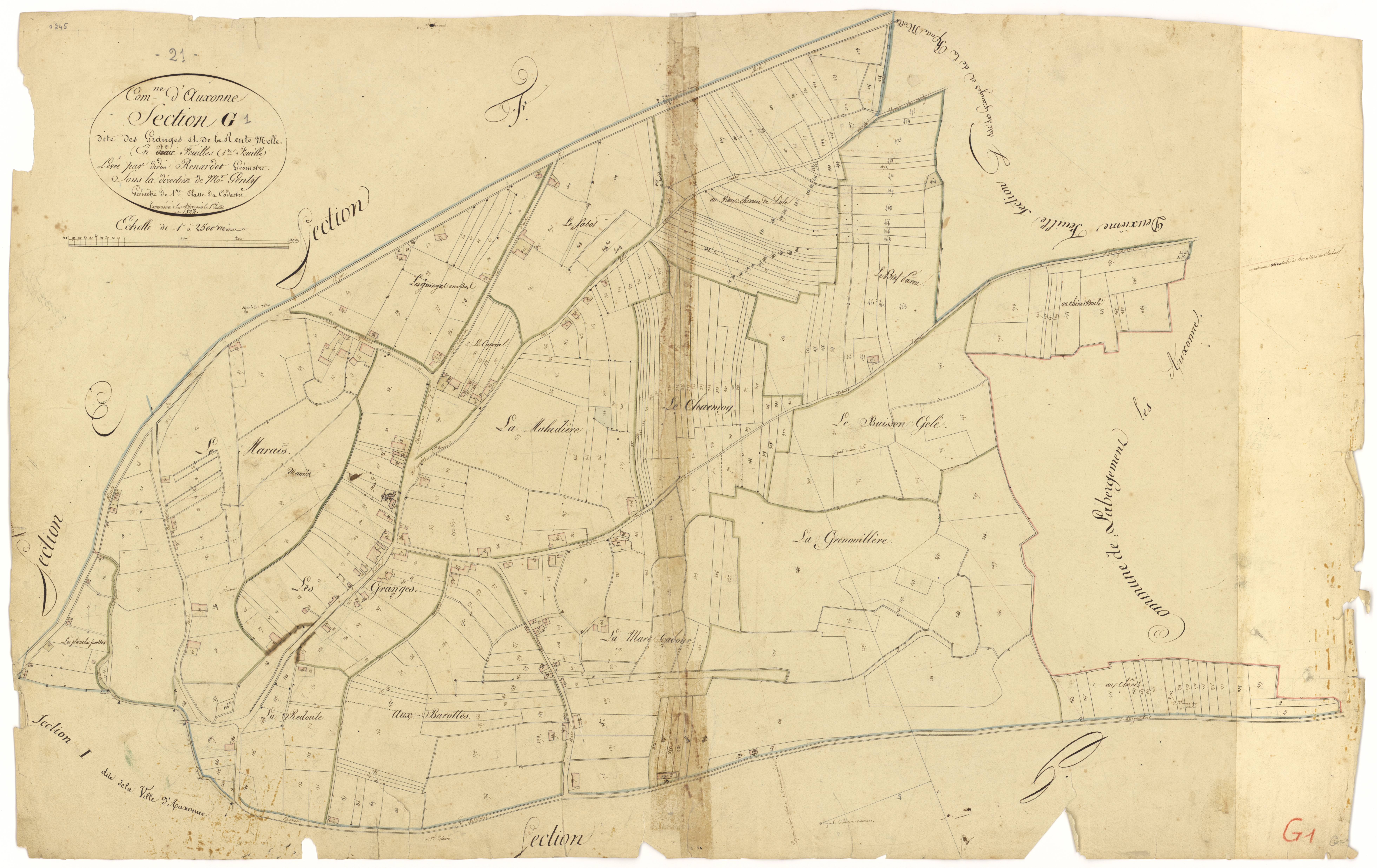 Auxonne - Section G1 - 3 P PLAN 41/16