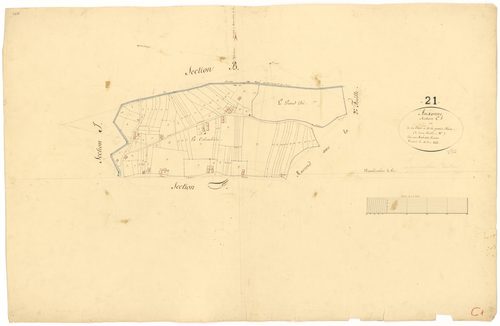 Auxonne - Section C1 - 3 P PLAN 41/8