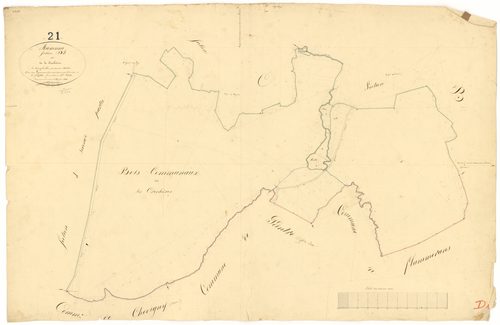 Auxonne - Section D1 - 3 P PLAN 41/10