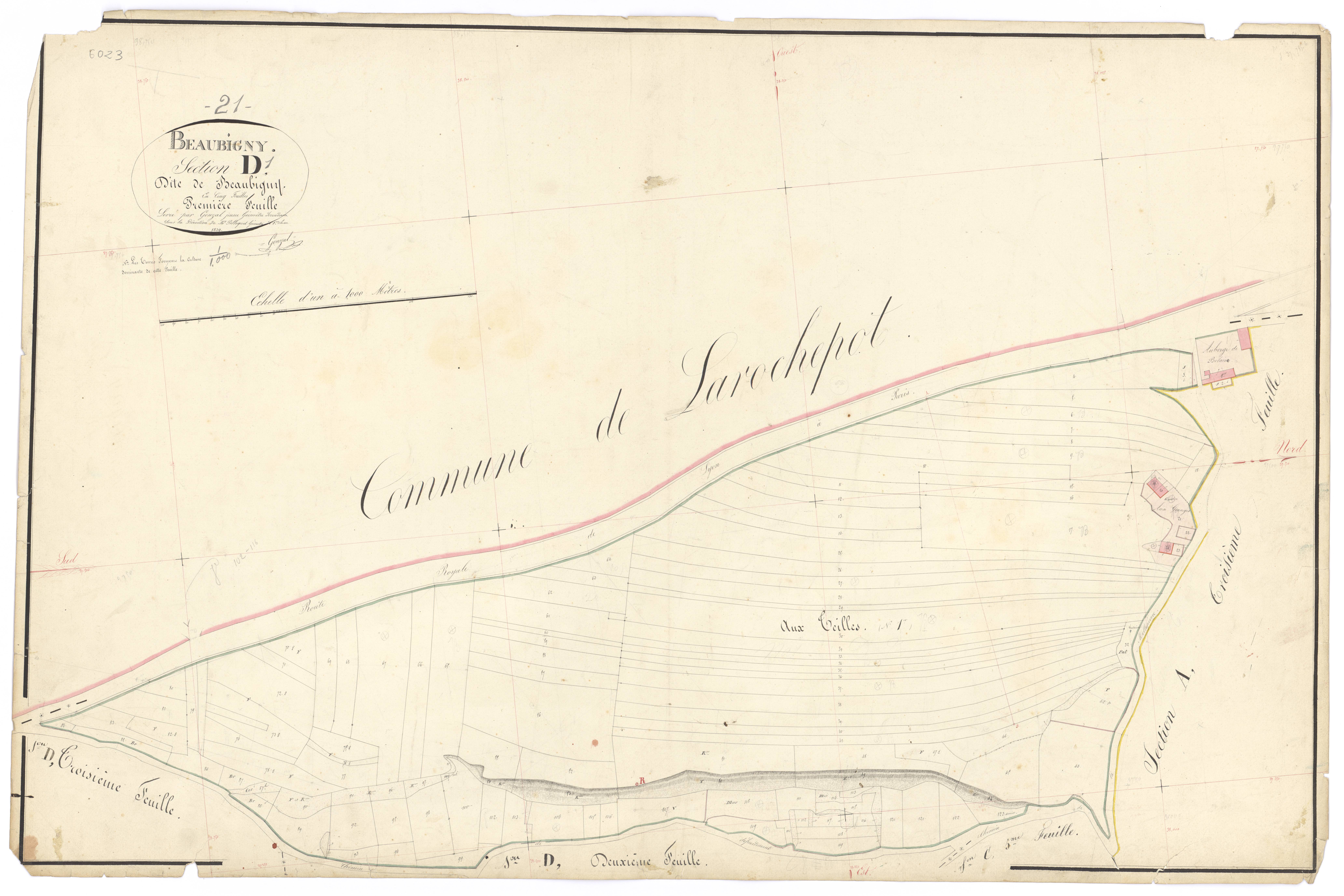 Baubigny - Section D1 - 3 P PLAN 53/20