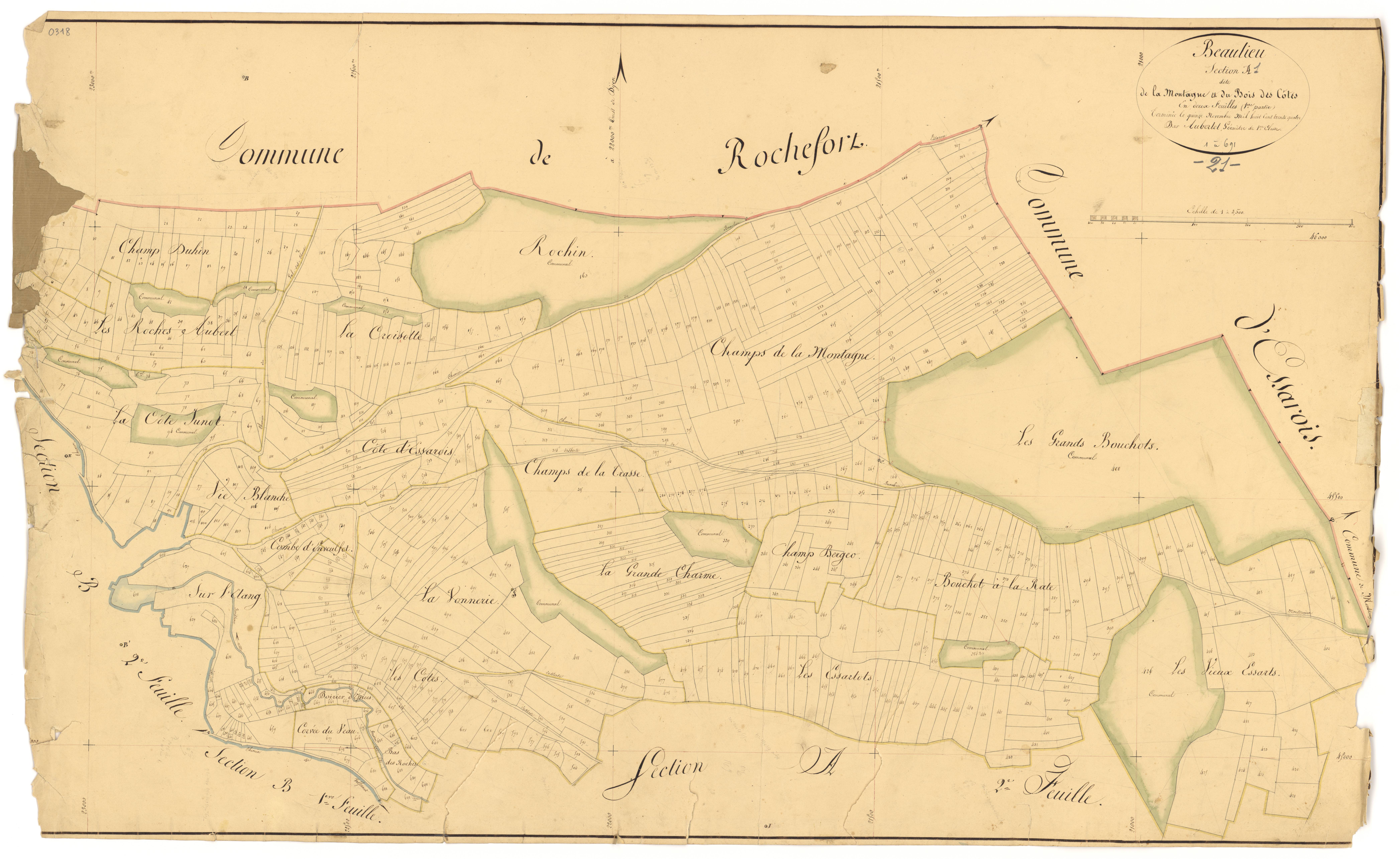 Beaulieu - Section A1 - 3 P PLAN 55/2