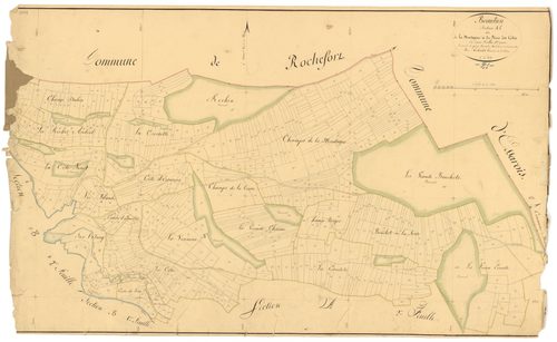 Beaulieu - Section A1 - 3 P PLAN 55/2