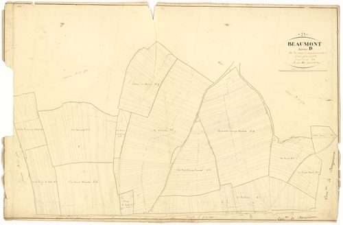 Beaumont-sur-Vingeanne - Section D1 - 3 P PLAN 56/13