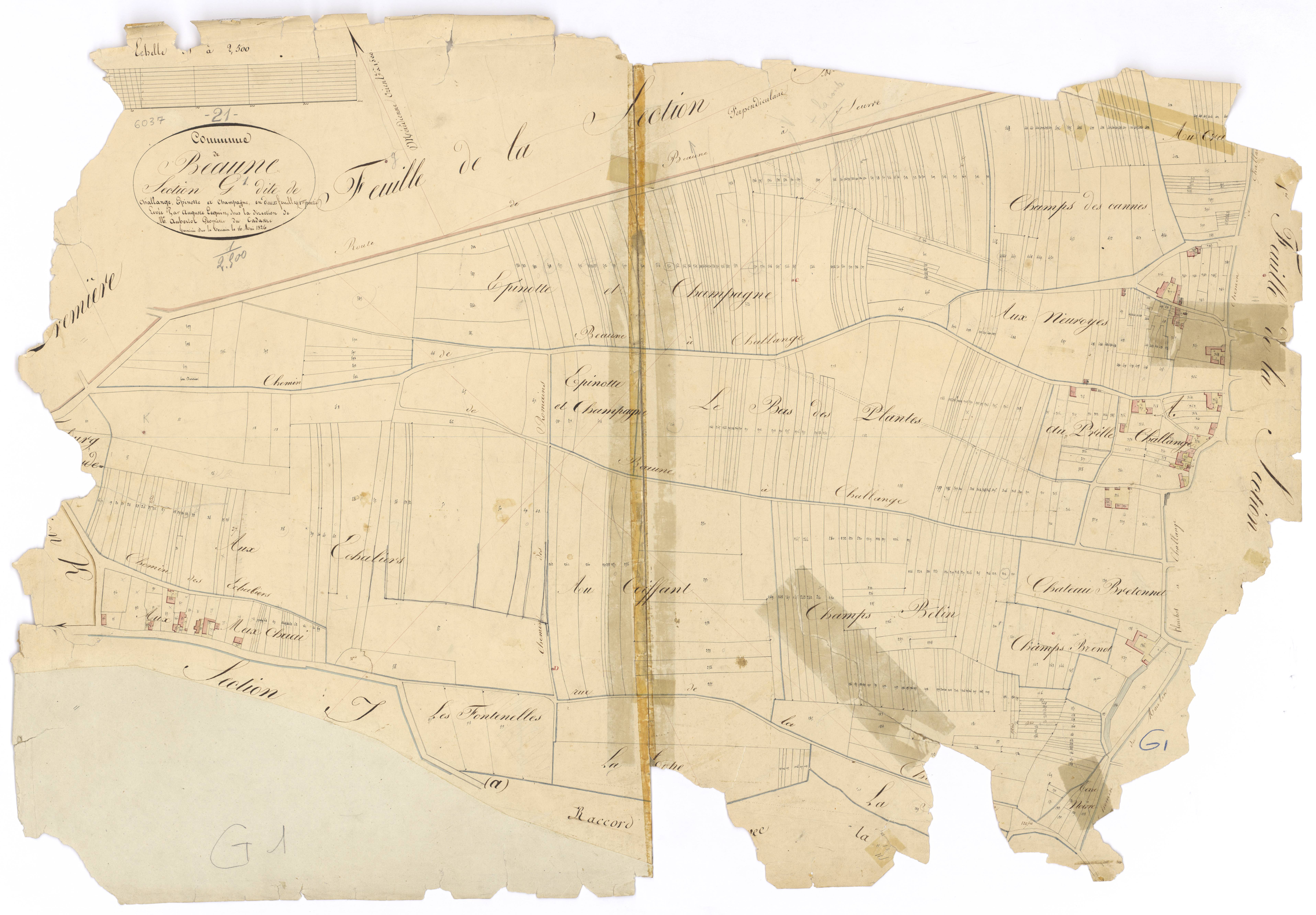 Beaune - Section G1 - 3 P PLAN 57/10
