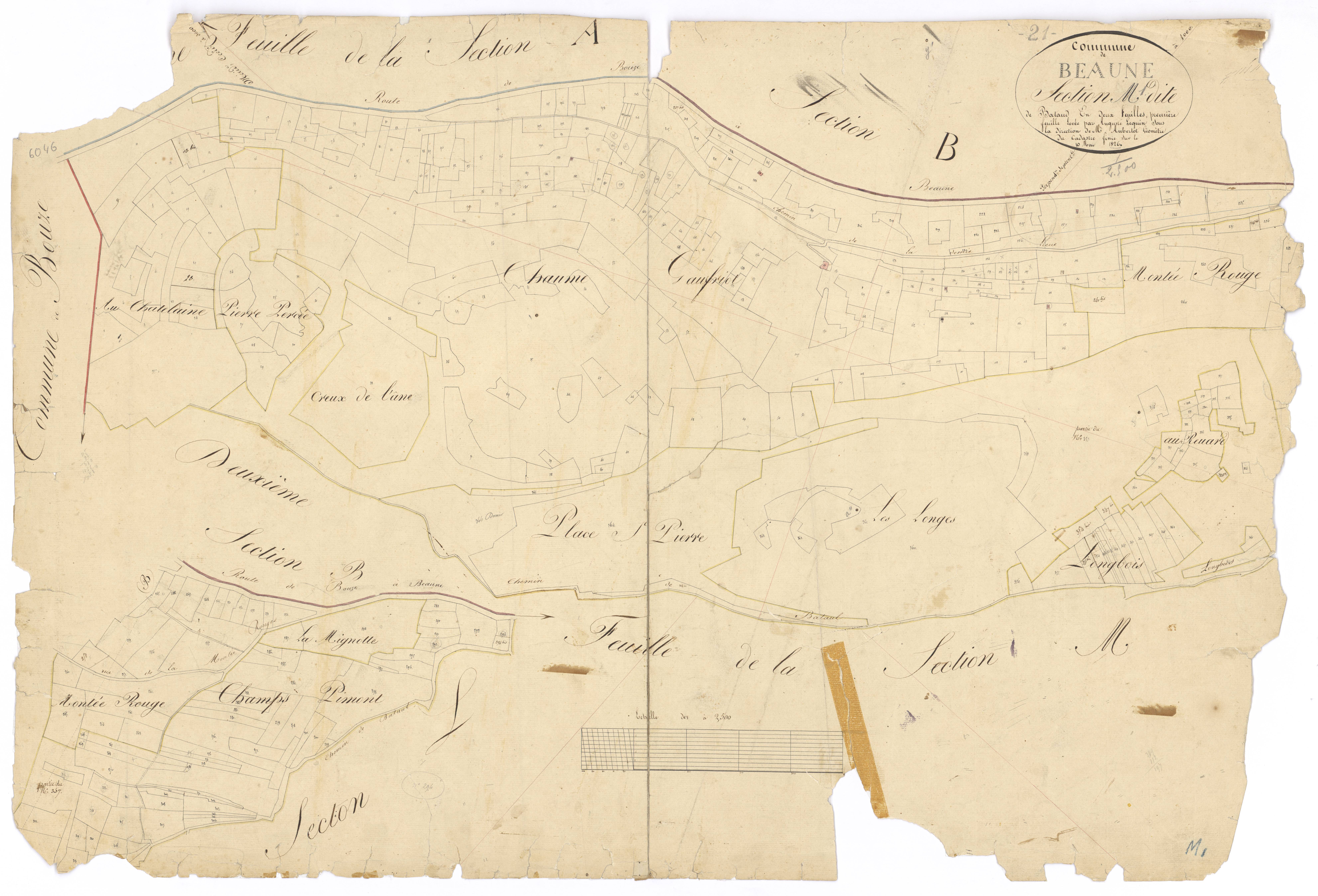 Beaune - Section M1 - 3 P PLAN 57/19