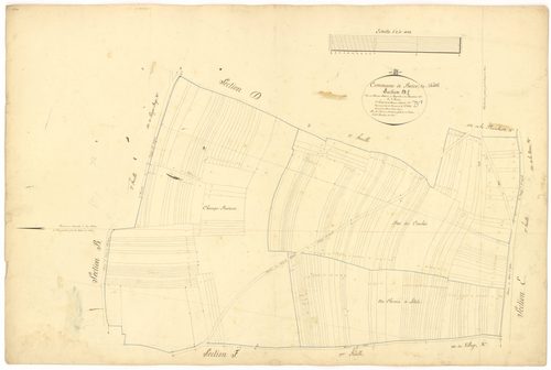 Beire-le-Châtel - Section D1 - 3 P PLAN 59/16